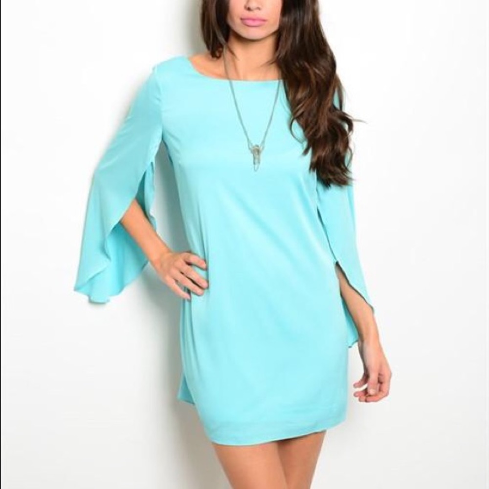 NWT Aqua Shift Dress